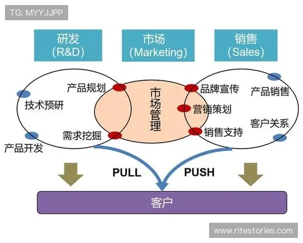G3国际在全球市场中的竞争优势与未来战略
